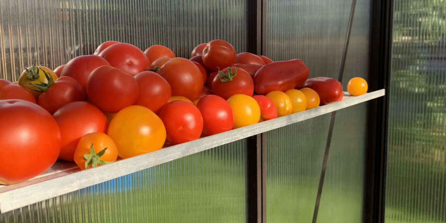 ALU-SHELF 20 - Greenhouse shelf (D-20 cm)