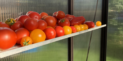 ALU-SHELF 20 - Greenhouse shelf (D-20 cm)