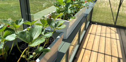 ALU-SHELF 20 - Greenhouse shelf (D-20 cm)