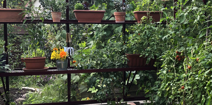 ALU-SHELF 20 - Greenhouse shelf (D-20 cm)