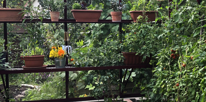 ALU-SHELF 40 - greenhouse shelf (D-40 cm)