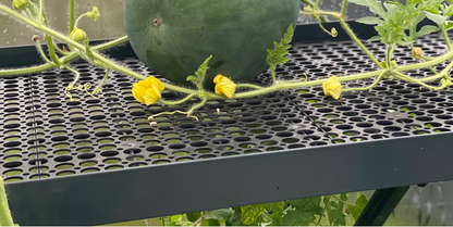 ALU-SHELF 40 - greenhouse shelf (D-40 cm)