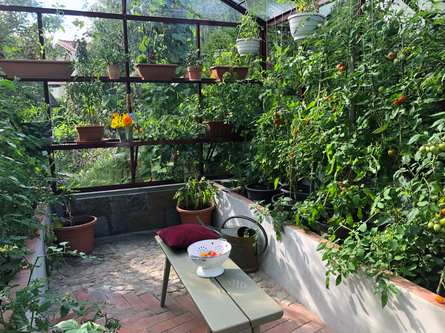 ALU-SHELF 20 - Greenhouse shelf (D-20 cm)