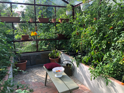 ALU-SHELF 20 - Greenhouse shelf (D-20 cm)